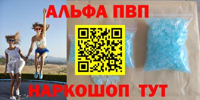 стаф Кингисепп